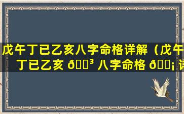 戊午丁已乙亥八字命格详解（戊午丁已乙亥 🐳 八字命格 🐡 详解大全）